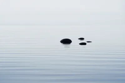 Illustration quiet - Image 1