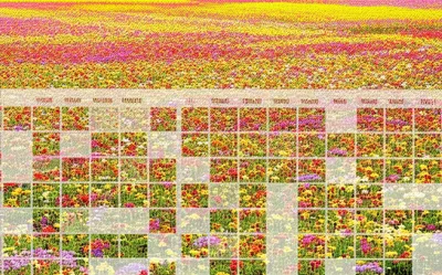 Illustration covers - Image 1