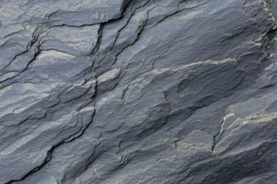 Illustration bat - Image 1