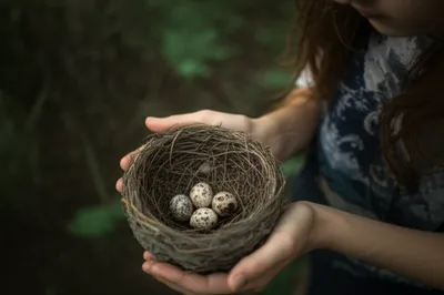 Illustration considerate - Image 1