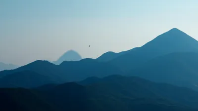 Illustration minimize - Image 1