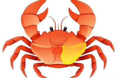 Illustration epimeron