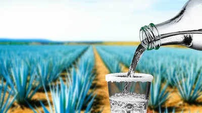 Illustration tequila - Image 1