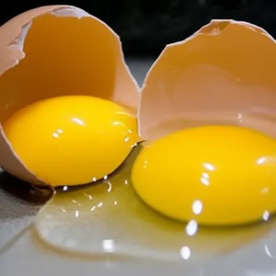 Illustration pair - Image 1