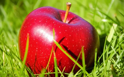 Illustration tempting - Image 1