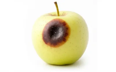 Illustration corrupted - Image 1