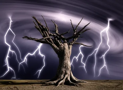 Illustration accursed - Image 2