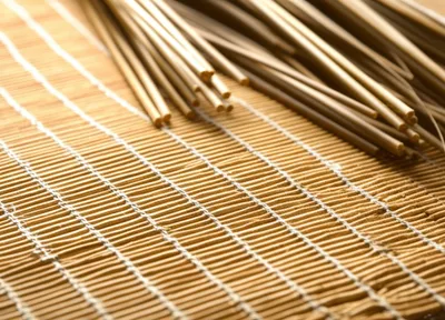 Illustration bast - Image 1