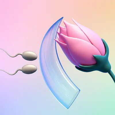 Illustration contraceptive - Image 1