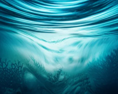 Illustration underwater - Image 1