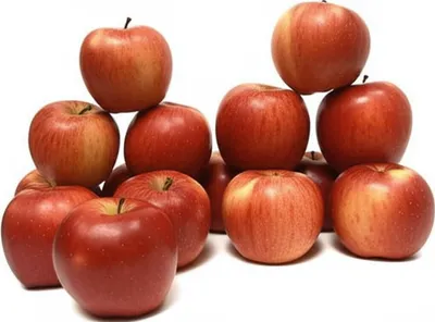 Illustration differed - Image 1