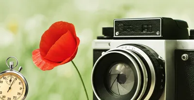 Illustration exposures - Image 1