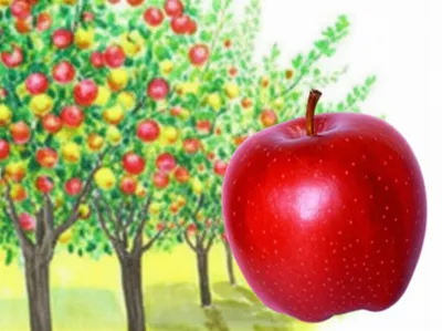 Illustration abstractions - Image 2