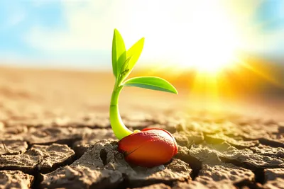 Illustration catalysts - Image 1