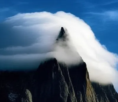 Illustration euphemize - Image 1