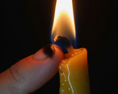 Illustration singe - Image 1