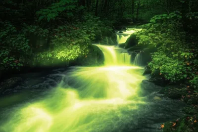 Illustration burn - Image 1