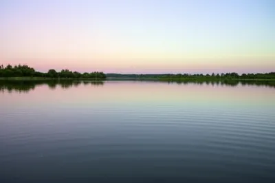 Illustration subsides - Image 1