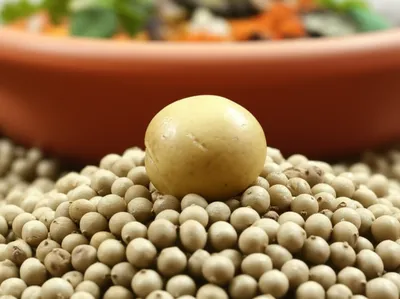 Illustration chickpea - Image 1