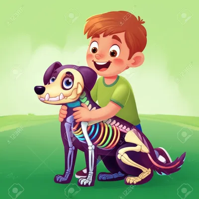 Illustration endoskeleton