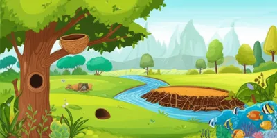 Illustration habitat - Image 1