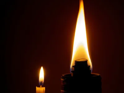 Illustration iamb - Image 1