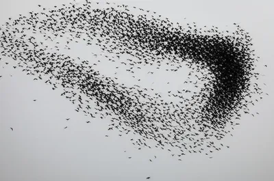 Illustration m - Image 1