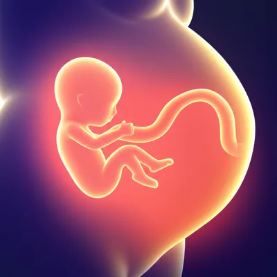 Hình ảnh minh họa birth