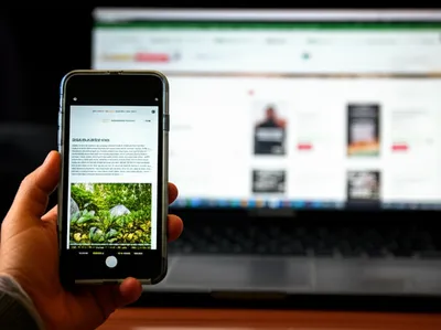 Illustration foreground - Image 1