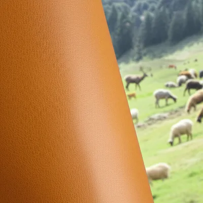 Illustration chamois - Image 1