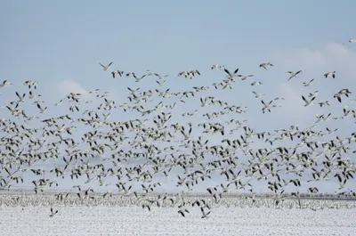 Illustration wavy - Image 1