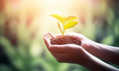 Illustration handled - Image 1