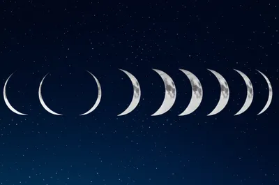 Illustration waning - Image 1