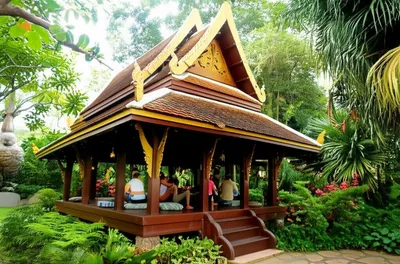 Illustration salas - Image 1