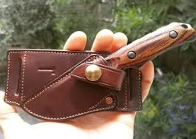 Illustration sheathe - Image 2