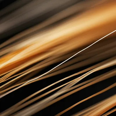 Illustration filament