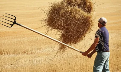 Illustration pike - Image 1