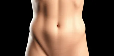 Illustration torse - Image 1