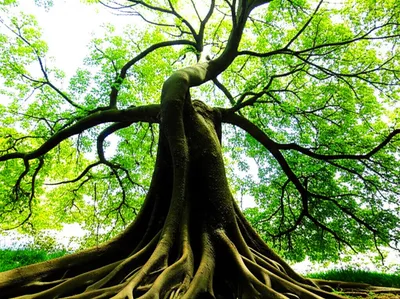 Illustration wielding - Image 1