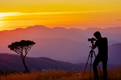 Illustration composing - Image 1