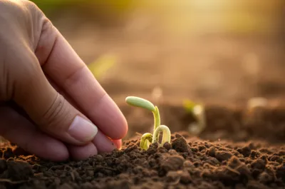 Illustration operate - Image 1