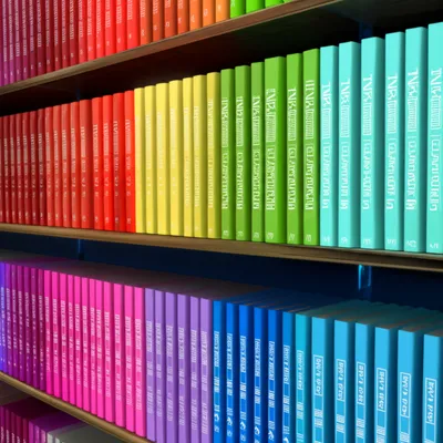 Illustration cataloged