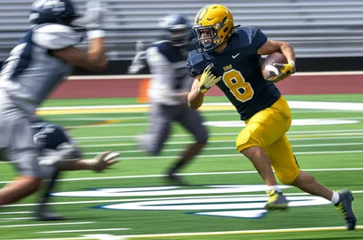 Illustration ballcarrier