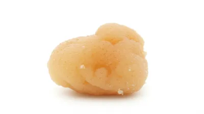 Illustration bite - Image 1