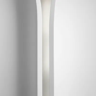 Illustration arris - Image 1