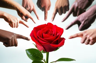 Illustration wat - Image 1