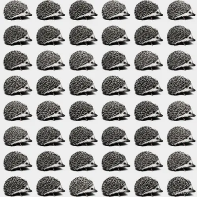Illustration arrays - Image 1
