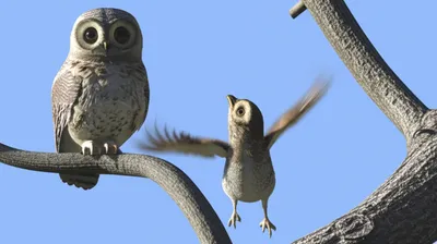 Illustration advises - Image 2