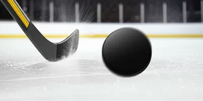 Illustration puck - Image 1