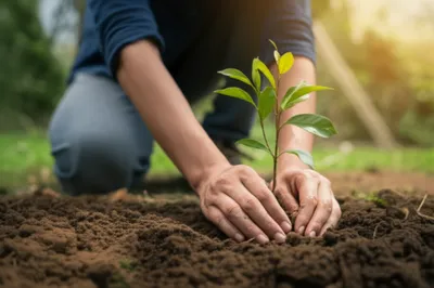 Hình ảnh minh họa dos - Ảnh 1